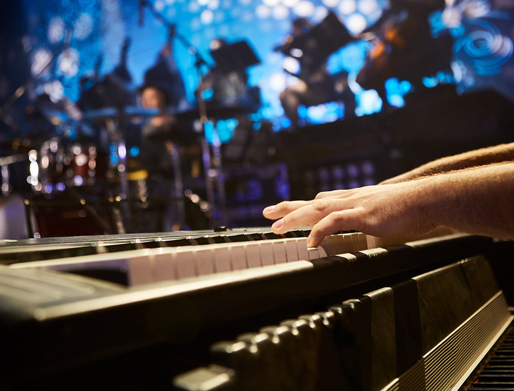 The musician at the concert.